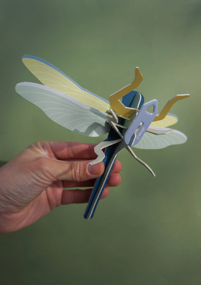 . Libélula / Matapiojos | Nocturna