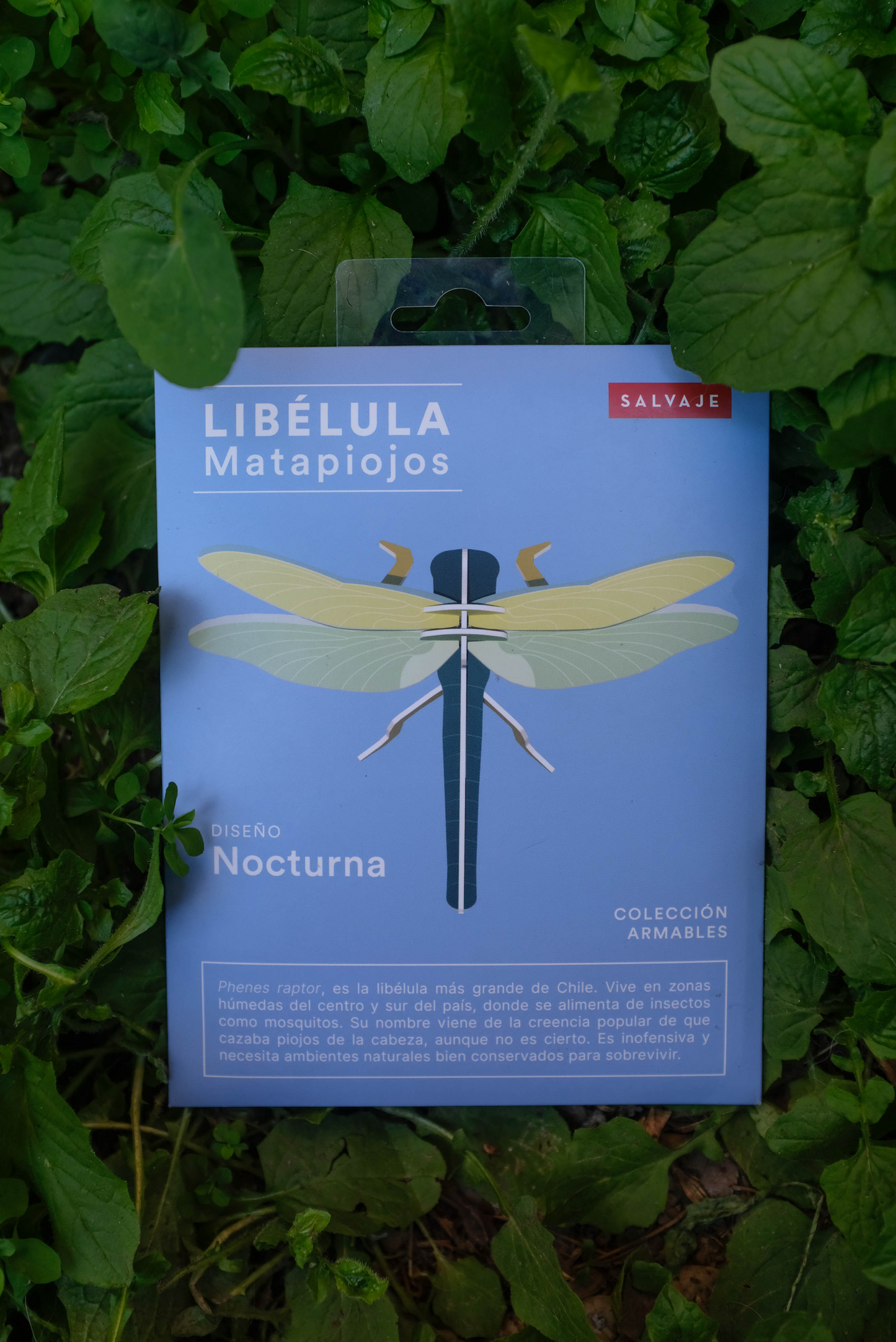 . Libélula / Matapiojos | Nocturna