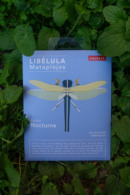 . Libélula / Matapiojos | Nocturna