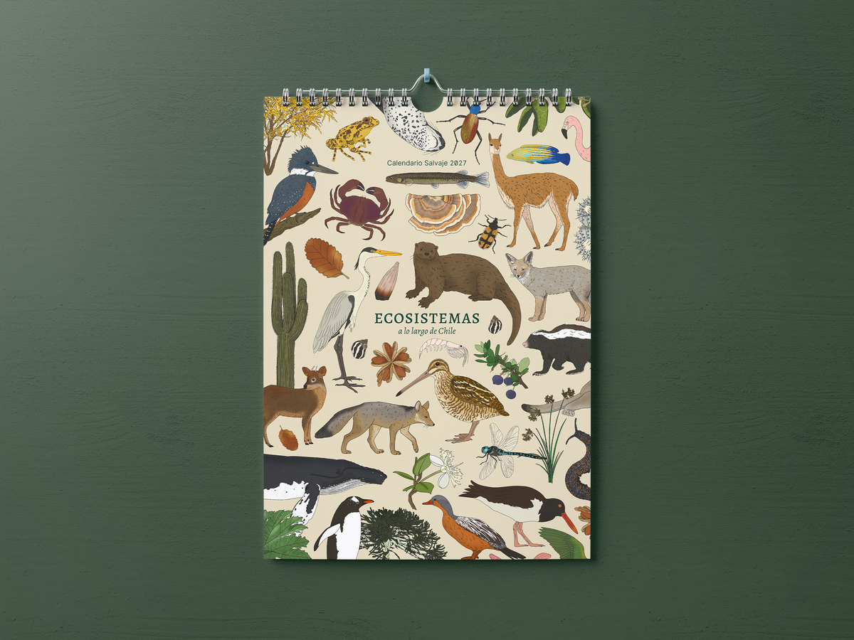 PREVENTA | Calendario 2027 ilustrado de Ecosistemas de Chile | Salvaje
