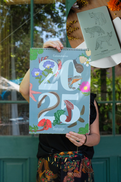 Promoción Calendario + Libreta de Notas