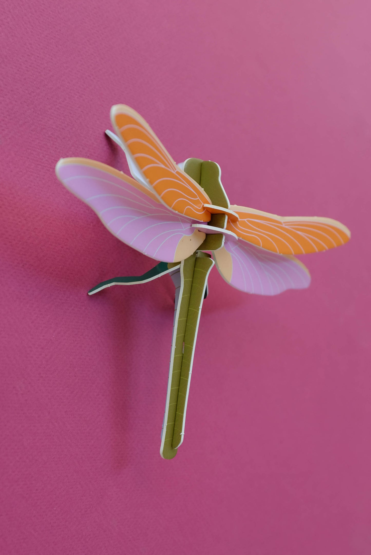 . Libélula / Matapiojos | Amanecer