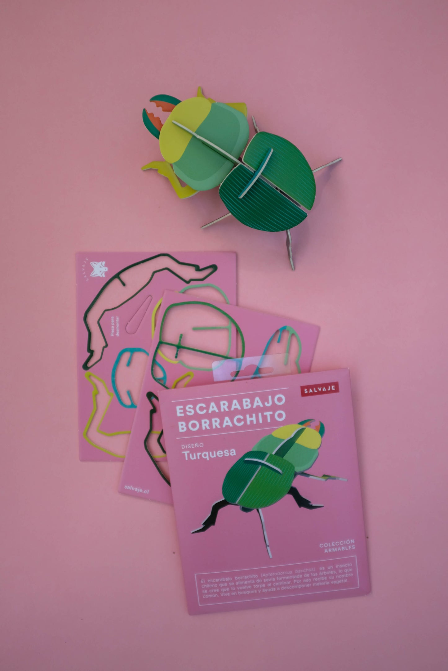 . Escarabajo borrachito | Turquesa