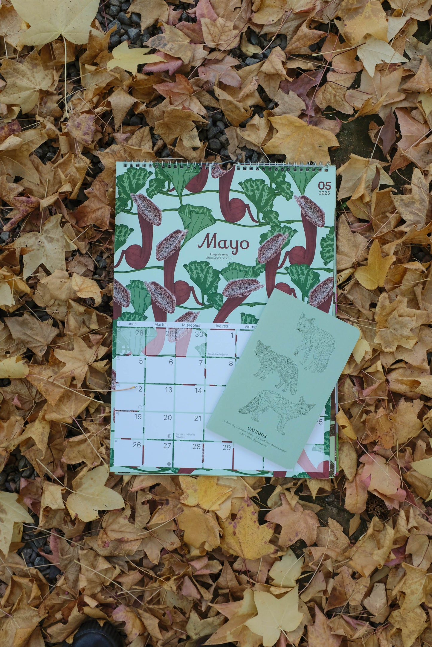 Promoción Calendario + Libreta de Notas