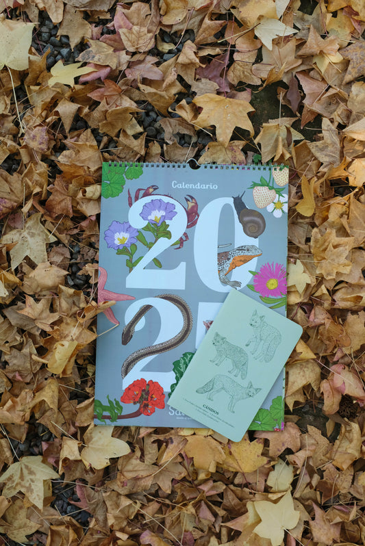 Promoción Calendario + Libreta de Notas