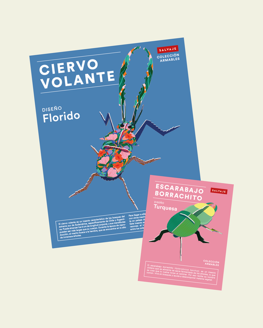 ❤️ Pack Celebremos el amor ❤️