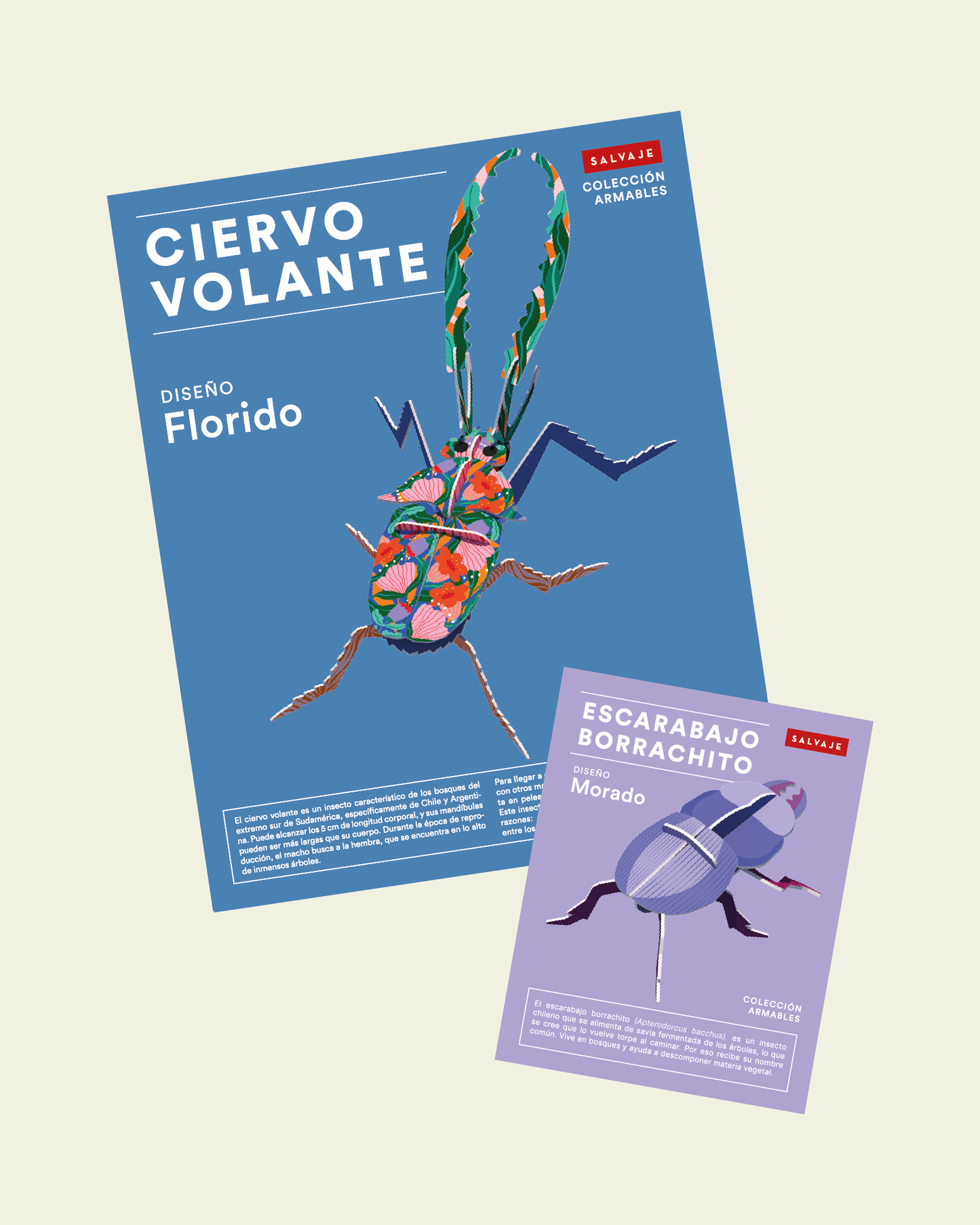 ❤️ Pack Celebremos el amor ❤️