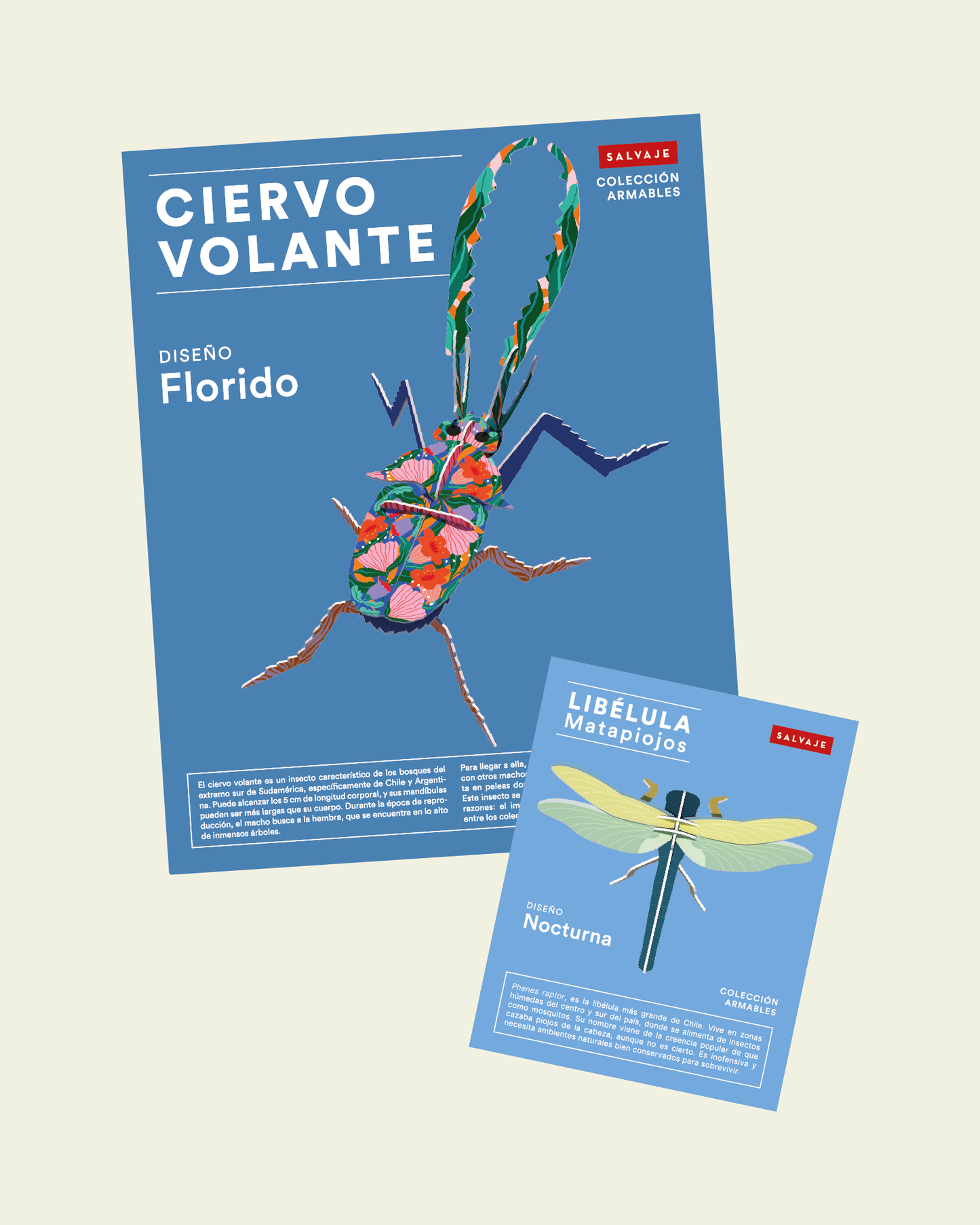 ❤️ Pack Celebremos el amor ❤️