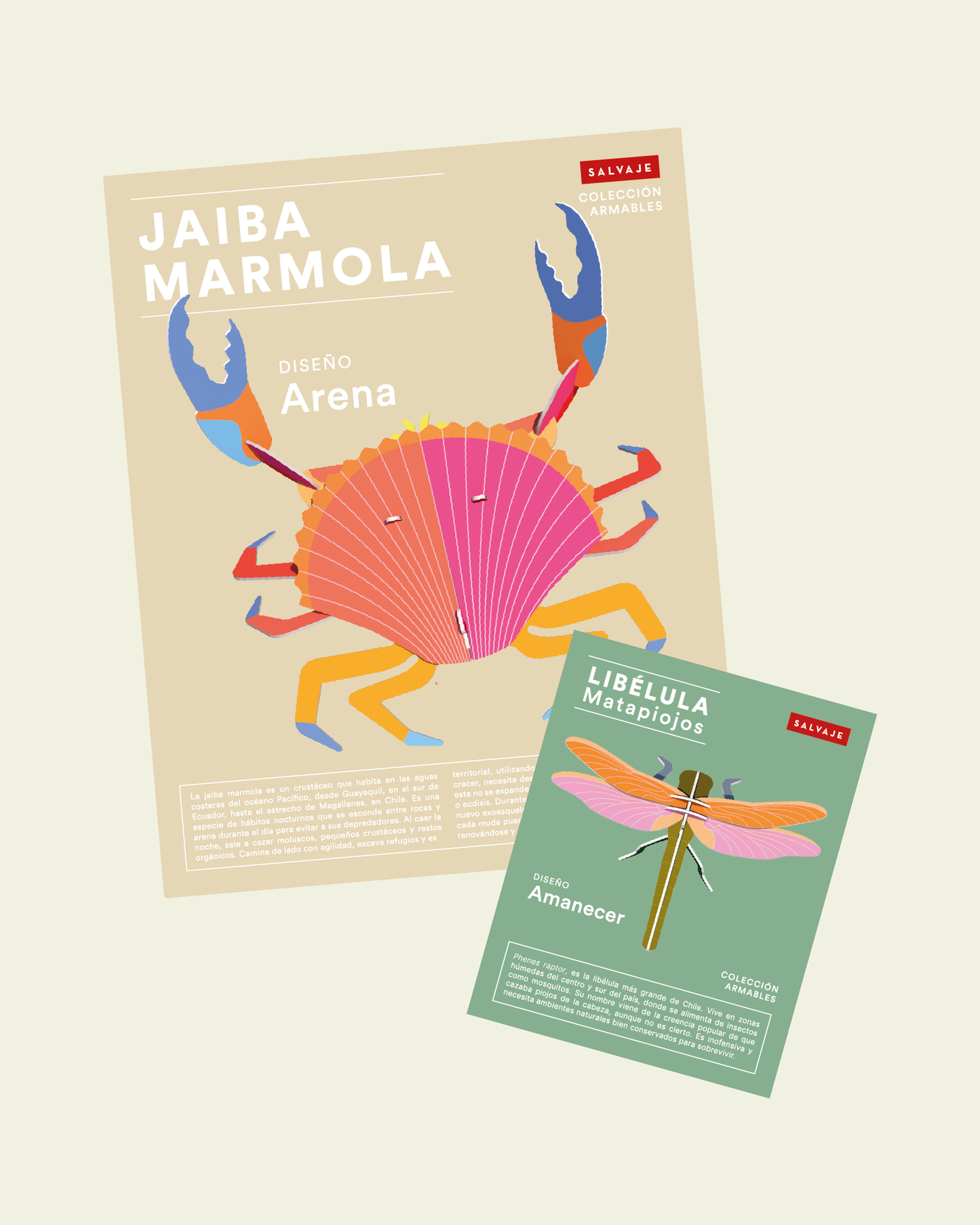 ❤️ Pack Celebremos el amor ❤️