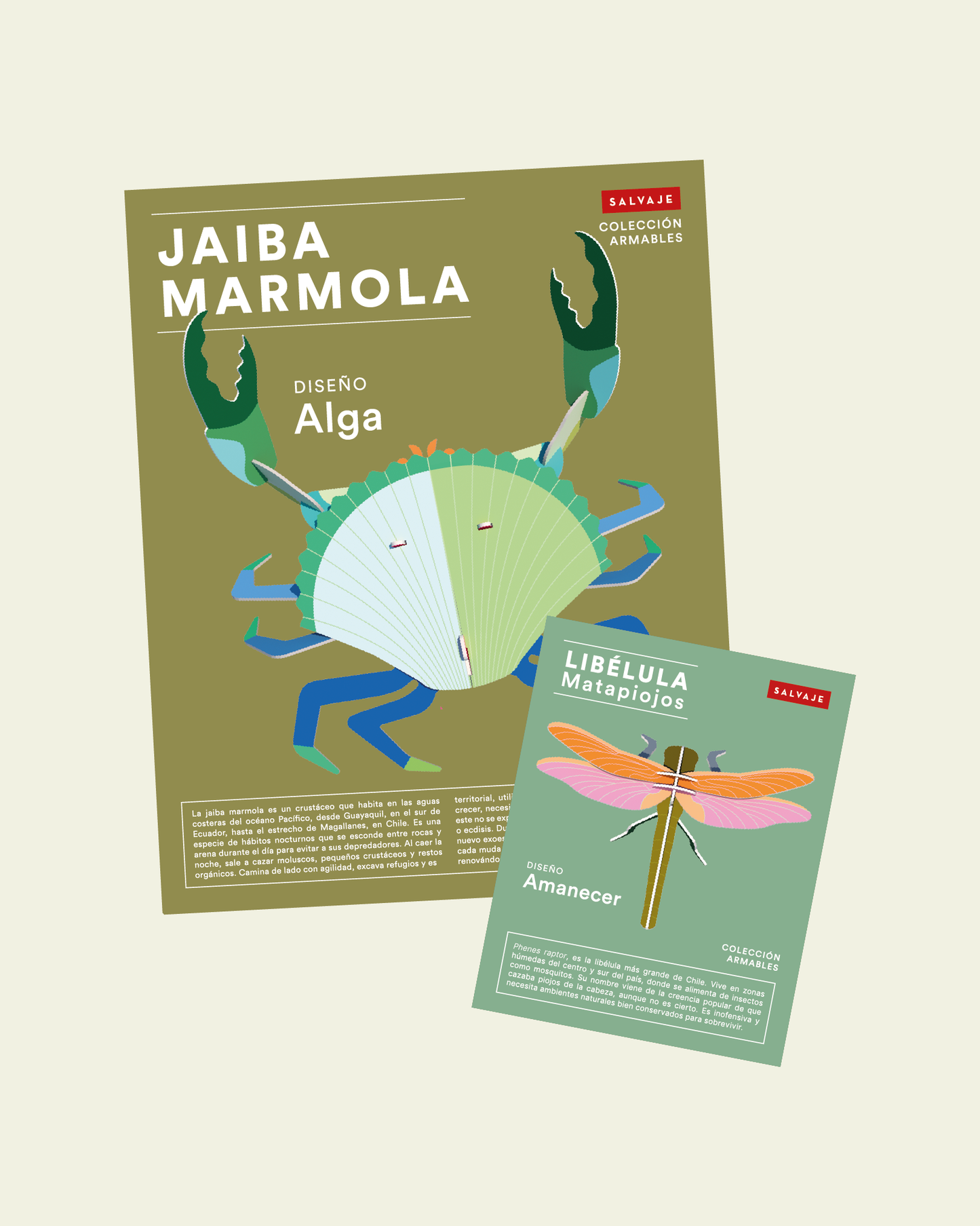 ❤️ Pack Celebremos el amor ❤️