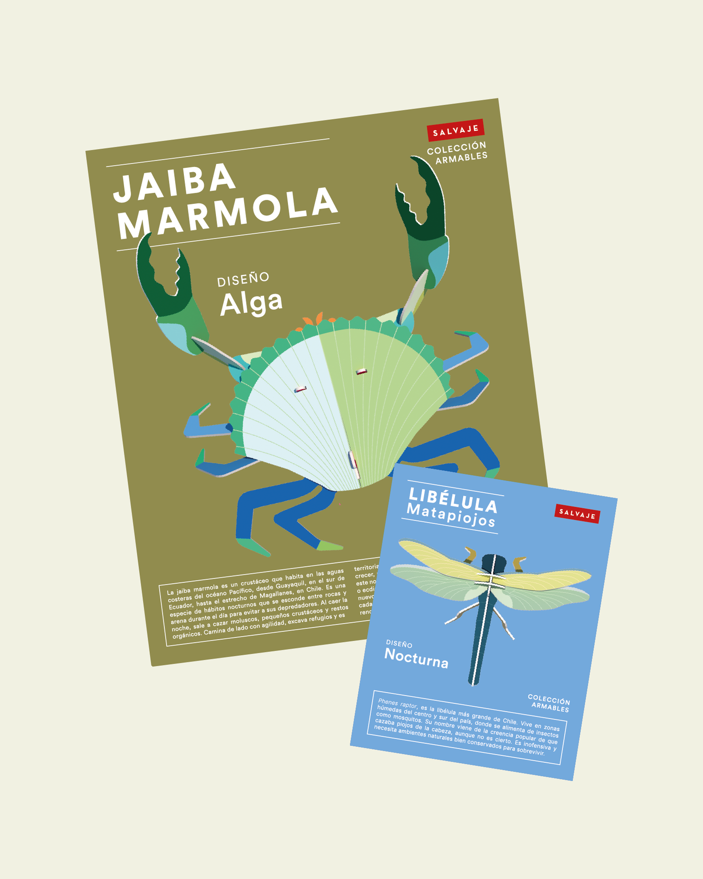 ❤️ Pack Celebremos el amor ❤️