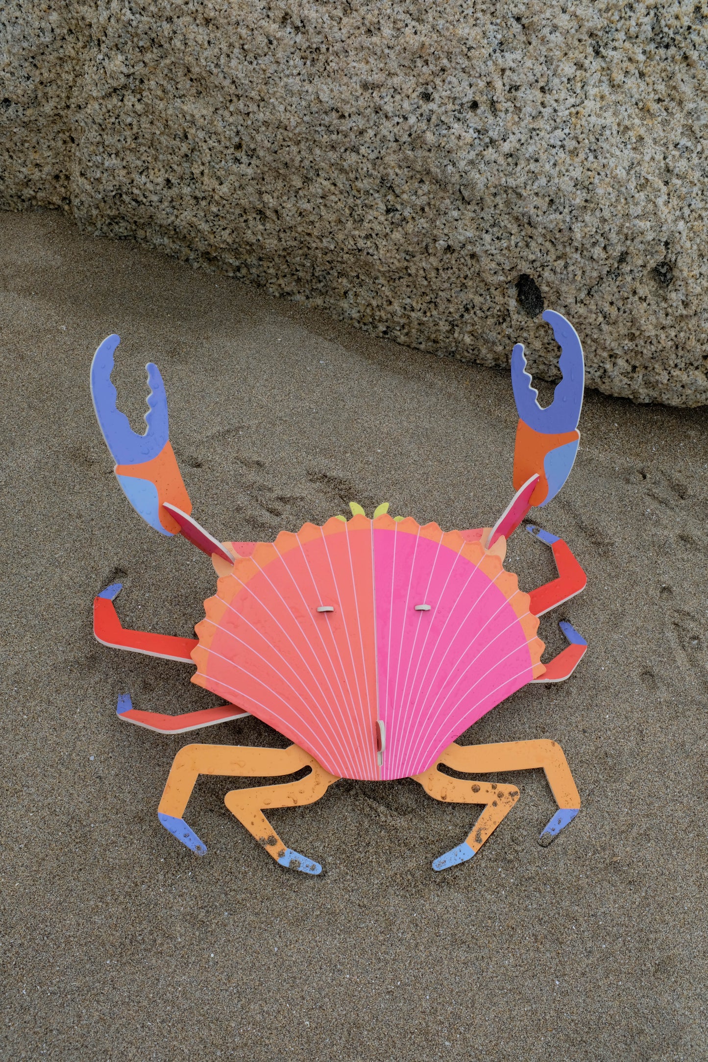 . Jaiba marmola | Arena