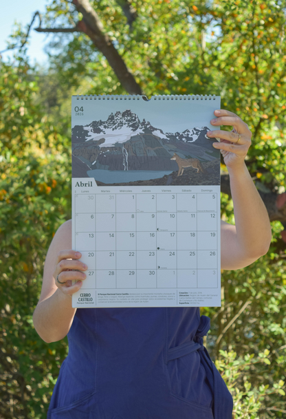 Calendario 2026 ilustrado de Parques Nacionales de Chile | Salvaje