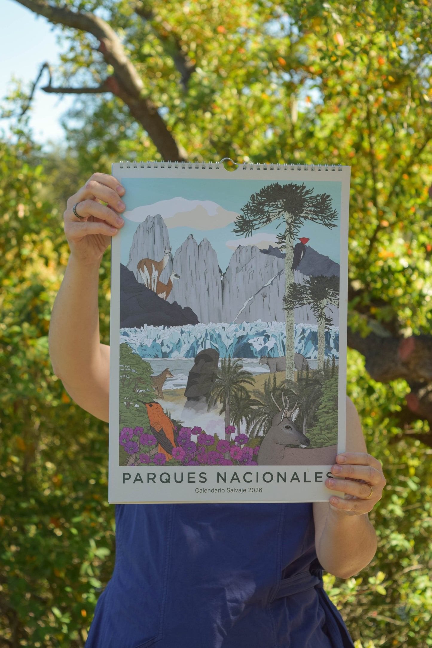 Calendario 2026 ilustrado de Parques Nacionales de Chile | Salvaje