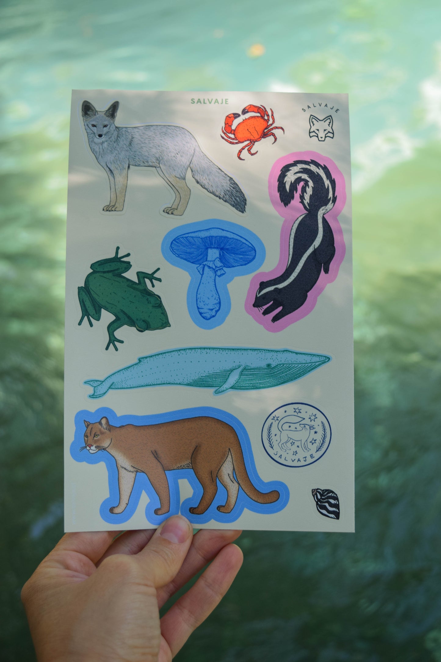 Lámina de stickers Salvaje
